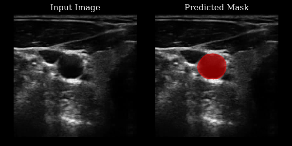 Carotid Example Output